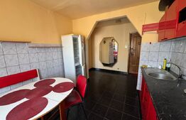 Apartament cochet de 2 camere, 57 mp - Deva, Gojdu