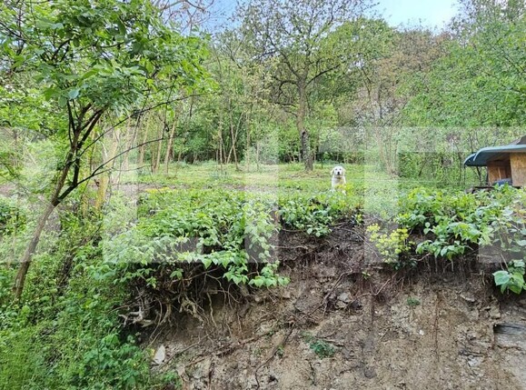 Casa de vânzare 3 camere Horea - 193330CV | BLITZ Deva | Poza10