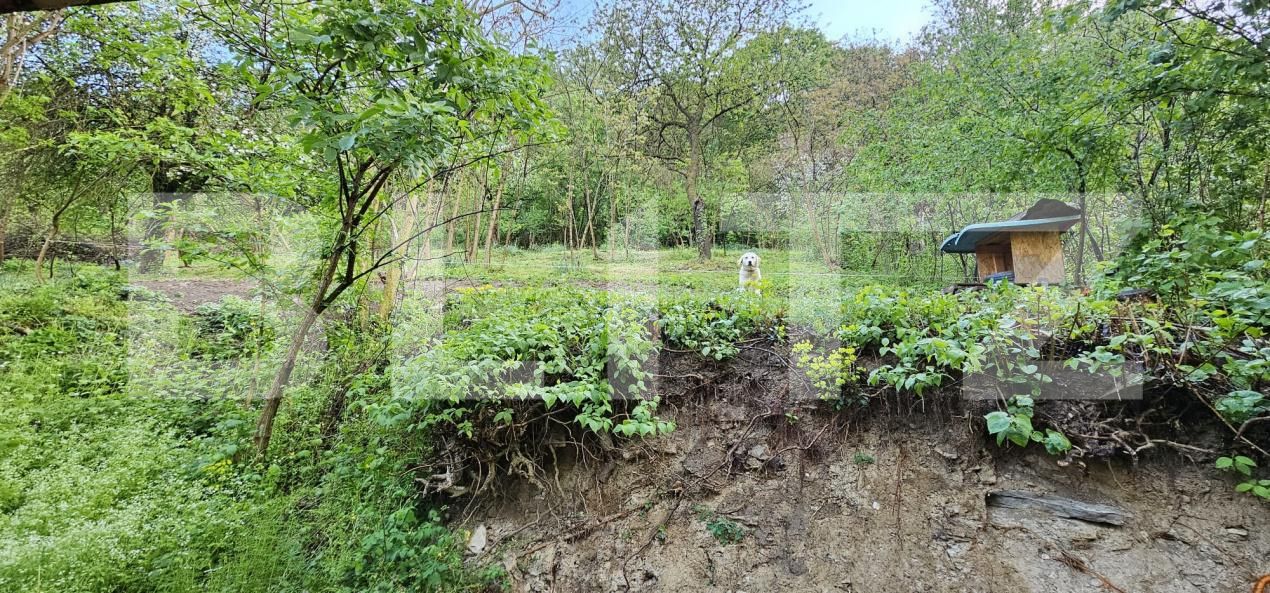 Casa de vânzare 3 camere Horea - 193330CV | BLITZ Deva | Poza10