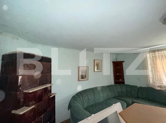 Casa de vânzare 7 camere Rapoltu Mare - 193363CV | BLITZ Deva | Poza5