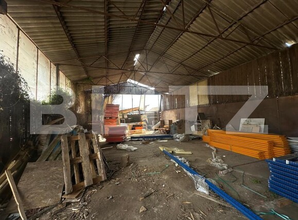 Spațiu industrial de vânzare Rapoltu Mare - 193364SVI | BLITZ Deva | Poza5