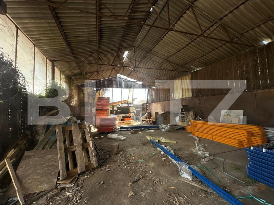 Spațiu industrial de vânzare Rapoltu Mare - 193364SVI | BLITZ Deva | Poza5