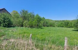 Teren intravilan 2200 mp, acces asfalt, pădure – Cuieș, 20 minute de Deva