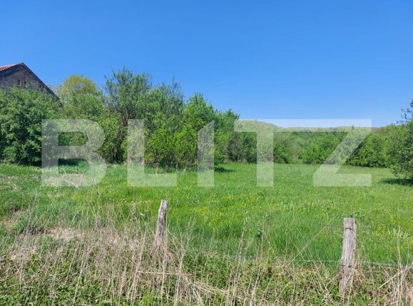 Teren de vânzare Branisca - 193437TV | BLITZ Deva | Poza1