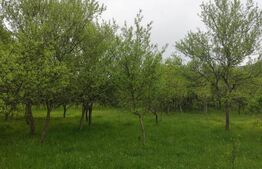 Teren 6500 mp, front 125 ml, utilitati, liniste – Ulieș, comuna Gurasada