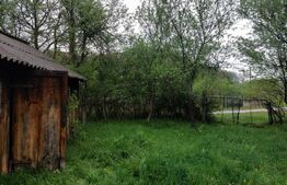 Teren 6500 mp, front 125 ml, utilitati, liniste – Ulieș, langa Deva