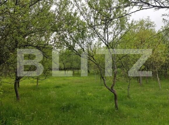 Teren de vânzare Branisca - 193447TV | BLITZ Deva | Poza3