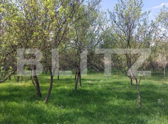 Teren de vânzare Branisca - 193447TV | BLITZ Deva | Poza4