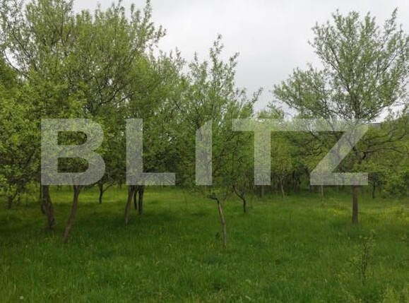 Teren de vânzare Branisca - 193447TV | BLITZ Deva | Poza2