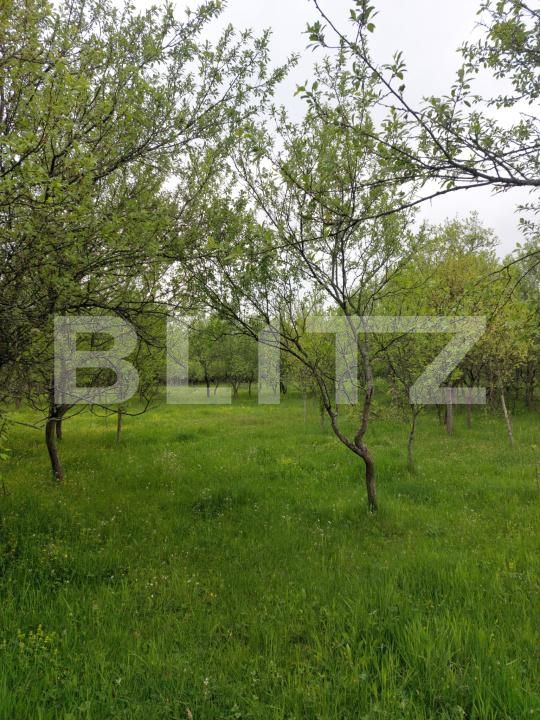 Teren de vânzare Branisca - 193447TV | BLITZ Deva | Poza3
