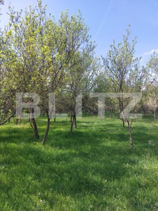 Teren de vânzare Branisca - 193447TV | BLITZ Deva | Poza4