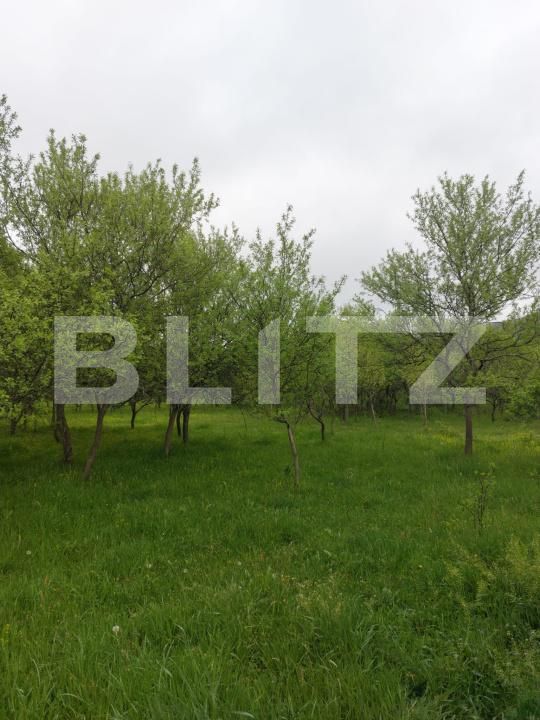 Teren de vânzare Branisca - 193447TV | BLITZ Deva | Poza2