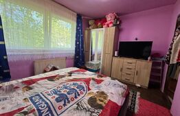 Apartament 2 camere Hunedoara Micro2,  46 mp  43000Euro