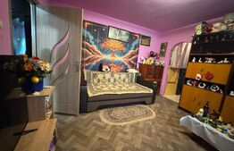 Apartament 2 camere Hunedoara Micro2,  46 mp  43000Euro