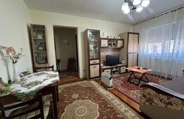 Apartament 2 camere, 50 mp, mobilat complet, vedere spre Cetate | 0% comision