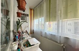 Apartament 2 camere, 50 mp, mobilat complet, vedere spre Cetate | 0% comision