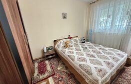 Apartament 2 camere, 50 mp, mobilat complet, vedere spre Cetate | 0% comision