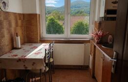 Apartament 3 camere ZONĂ ULTRACENTRALĂ +LOC DE PARCARE 