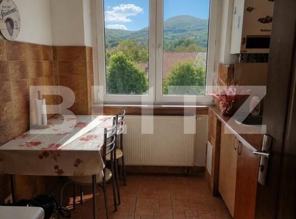Apartament de vânzare 3 camere Ultracentral - 194384AV | BLITZ Deva | Poza14