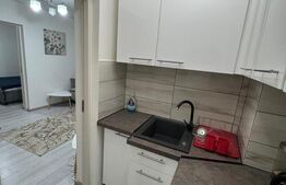  Apartament cu 2 camere LUX | Parter | Complet mobilat și utilat Pietonala HD