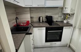  Apartament cu 2 camere LUX | Parter | Complet mobilat și utilat Pietonala HD
