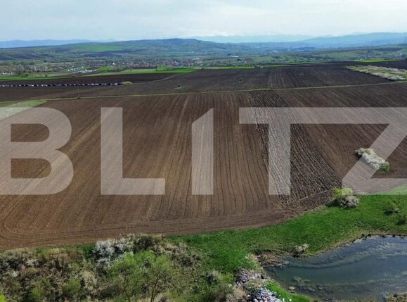 Teren de vânzare 700 - 194610TV | BLITZ Deva | Poza2