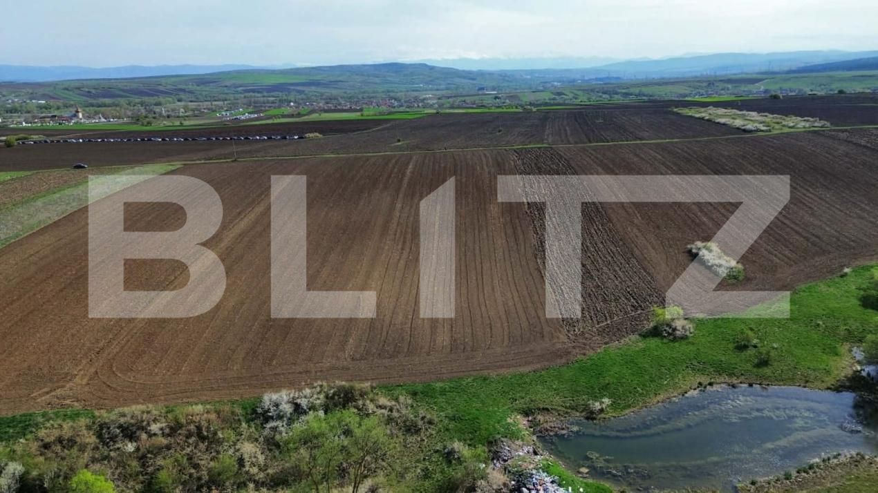 Teren de vânzare 700 - 194610TV | BLITZ Deva | Poza2