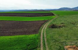 Teren extravilan de vanzare, 2.700 mp - zona Cristur