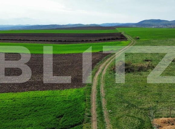 Teren de vânzare 700 - 194611TV | BLITZ Deva | Poza3