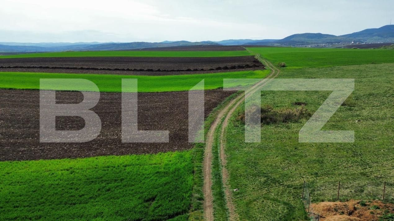Teren de vânzare 700 - 194611TV | BLITZ Deva | Poza3