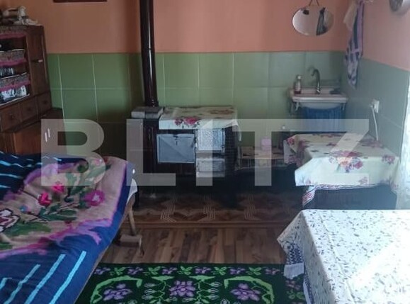 Casa de vânzare 2 camere Brad - 194836CV | BLITZ Deva | Poza4