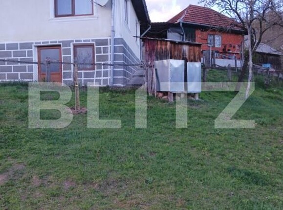 Casa de vânzare 2 camere Brad - 194836CV | BLITZ Deva | Poza1