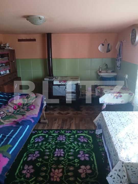 Casa de vânzare 2 camere Brad - 194836CV | BLITZ Deva | Poza4