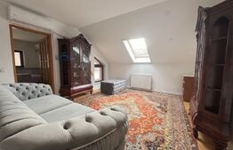 Casă complet renovată, terasă spectaculoasă, zonă liniștită Deva, str Crișan
