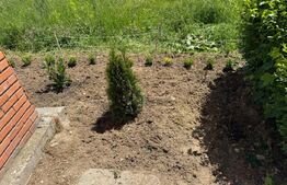 Garsonieră decomandată de vânzare – Micro 3, Hunedoara la Parter
