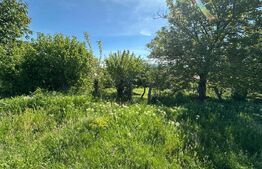 Teren intravilan | 540 mp | Zona in dezvoltare | Simeria