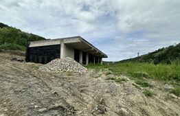 Casa la gri 159 mp, teren 16.418 mp, zona Dumbrăvița-Hunedoara 