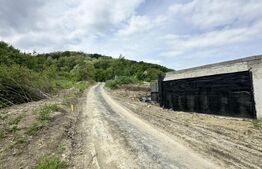 Casa la gri 159 mp, teren 16.418 mp, zona Dumbrăvița-Hunedoara 