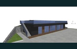Casa la gri 159 mp, teren 16.418 mp, zona Dumbrăvița-Hunedoara 