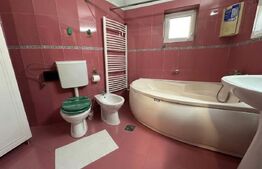 Apartament 3 camere, 100 mp, ideal familie/muncitori – zona 22 Decembrie 
