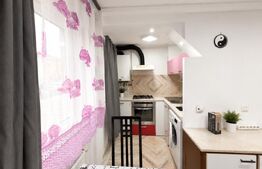 Apartament 2 camere, parter, mobilat complet, lângă Pietonală 