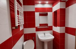 Apartament 2 camere, parter, mobilat complet, lângă Pietonală 