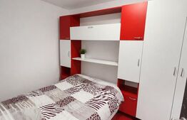 Apartament 2 camere, parter, mobilat complet, lângă Pietonală 