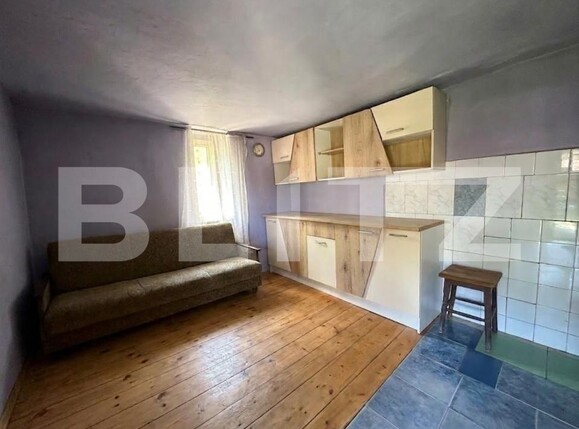 Casa de vânzare 4 camere Branisca - 197173CV | BLITZ Deva | Poza3