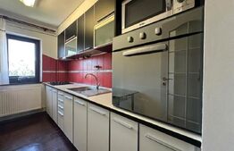 Apartament cu 2 camere, renovat complet, panoramă superbă, Deva