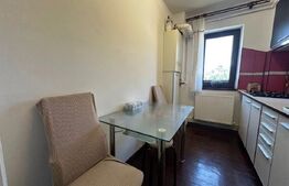 Apartament cu 2 camere, renovat complet, panoramă superbă, Deva