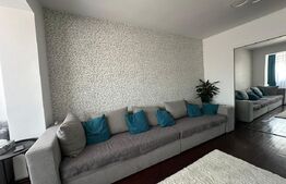 Apartament cu 2 camere, renovat complet, panoramă superbă, Deva