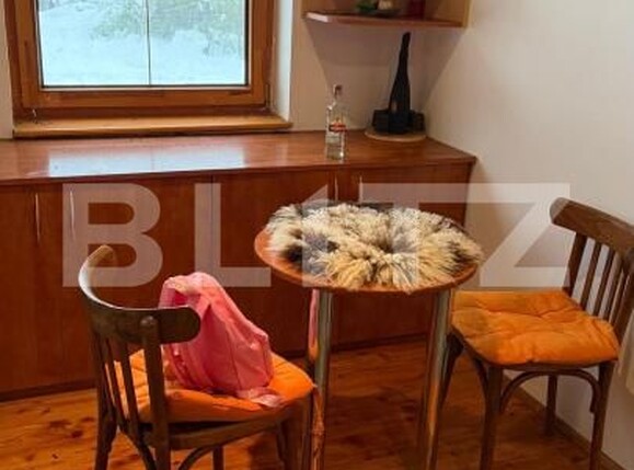 Casa de vânzare 4 camere Geoagiu - 197497CV | BLITZ Deva | Poza6