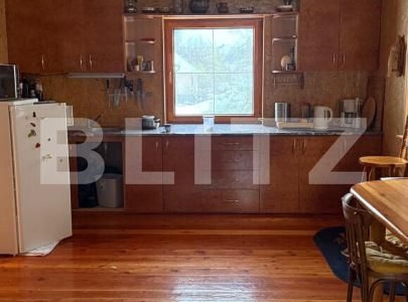 Casa de vânzare 4 camere Geoagiu - 197497CV | BLITZ Deva | Poza3