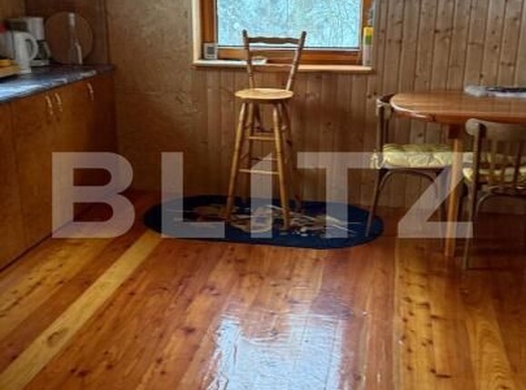 Casa de vânzare 4 camere Geoagiu - 197497CV | BLITZ Deva | Poza4